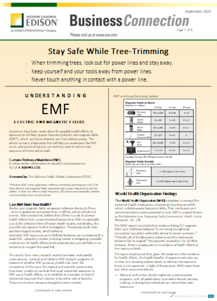Download Southern California EDISON utility business bill, page 7, SCR Photoshop template